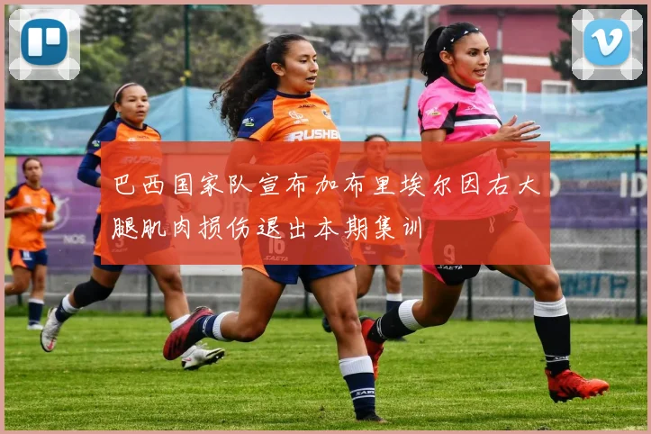 巴西国家队宣布加布里埃尔因右大腿肌肉损伤退出本期集训