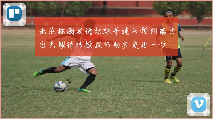 老范称谢泼德切球手速和预判能力出色期待传授技巧助其更进一步