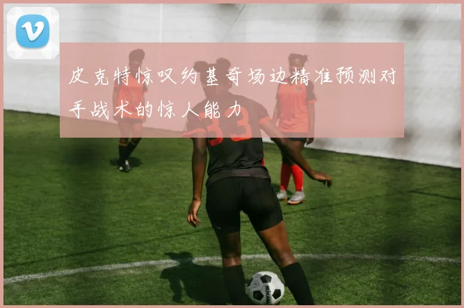 皮克特惊叹约基奇场边精准预测对手战术的惊人能力
